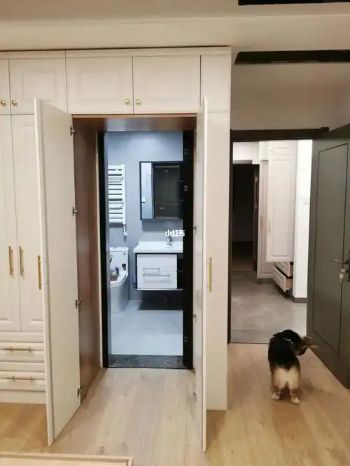 主卧衣柜门后面是卫生间