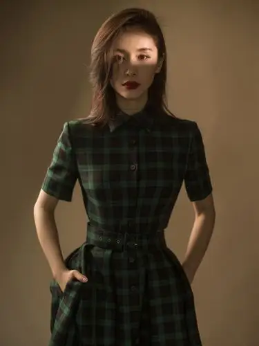 《我和我的家乡》王子文:彰显演员品格,打磨低调生活