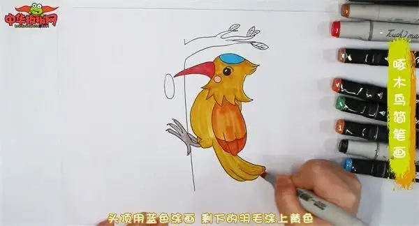 啄木鸟怎么画啄木鸟简笔画简单又漂亮彩色