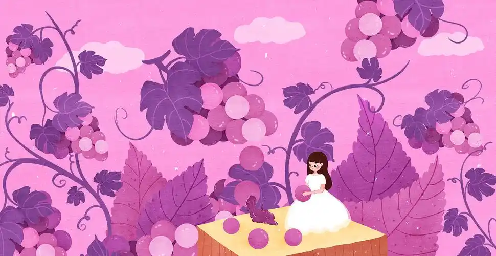 葡萄葡萄|插画|商业插画|阿茶98 - 原创作品 - 站酷 (zcool)