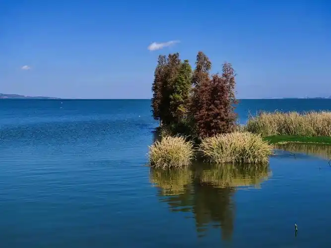 云南晋宁南滇池国家湿地公园风景如画|云南|滇池|国家湿地公园_新浪