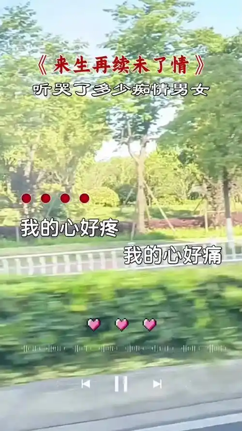 我的心好疼我的心好痛只能把这回忆偷偷藏心中今生不能在一起来生