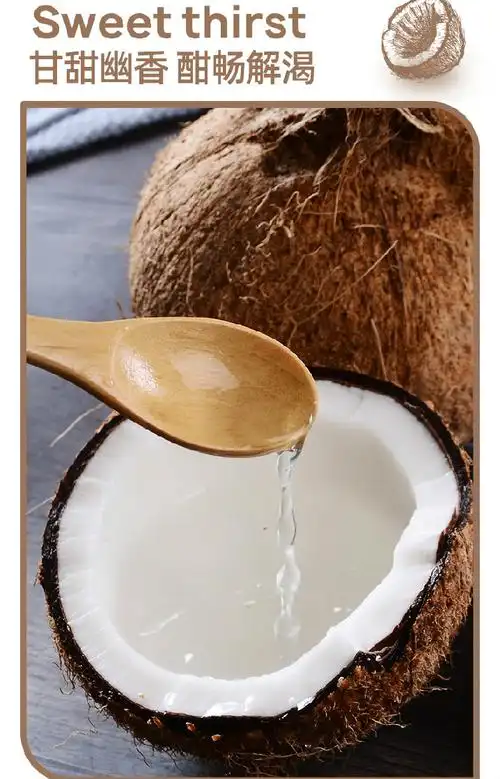 海南椰皇新鲜老椰子黑椰子煲汤新鲜水果椰子5个装