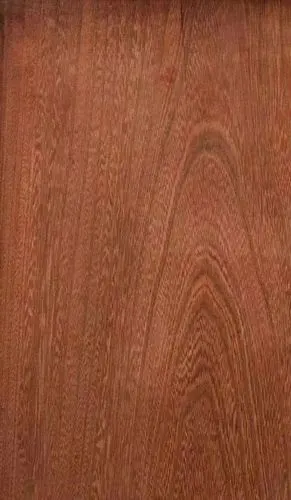 榉木:无榉不成具,被忽视的经典