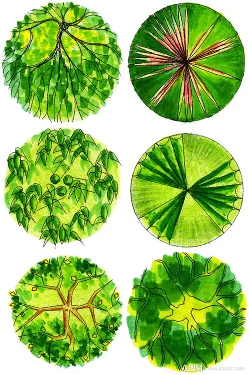 彩平图植物素材 (8)