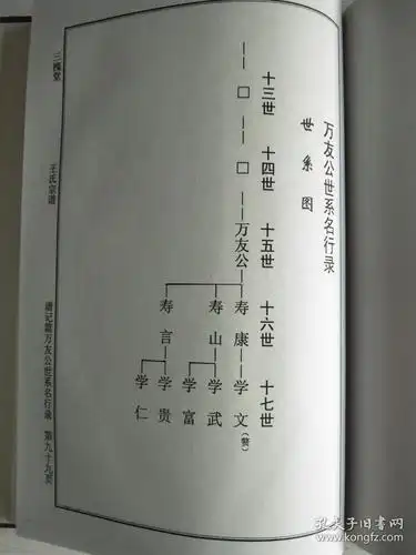 王氏宗谱三槐堂建湖支硬精装16开187页2003年续修建湖美宜家藏书数