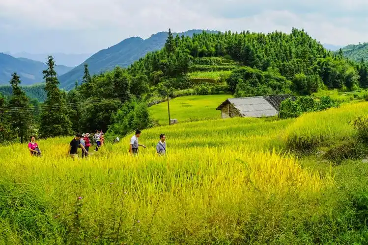 在希望的田野上【摄影首发】