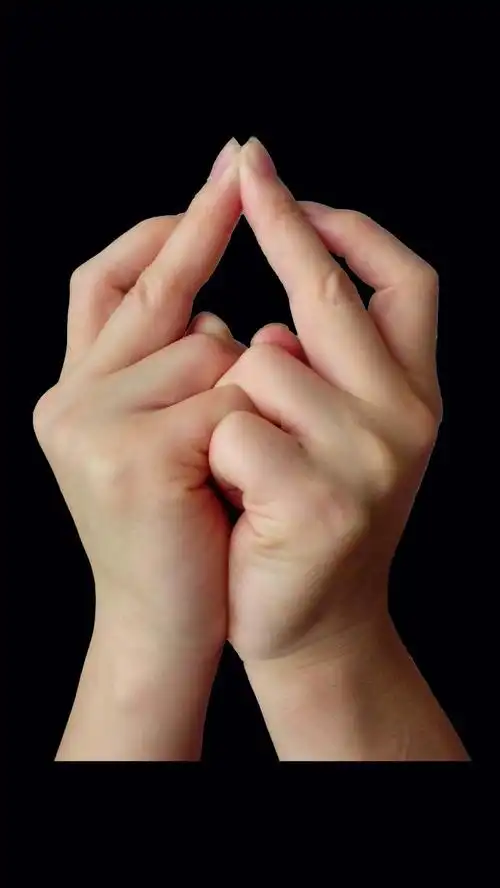 中华报恩之佛学与易学全集(十五)