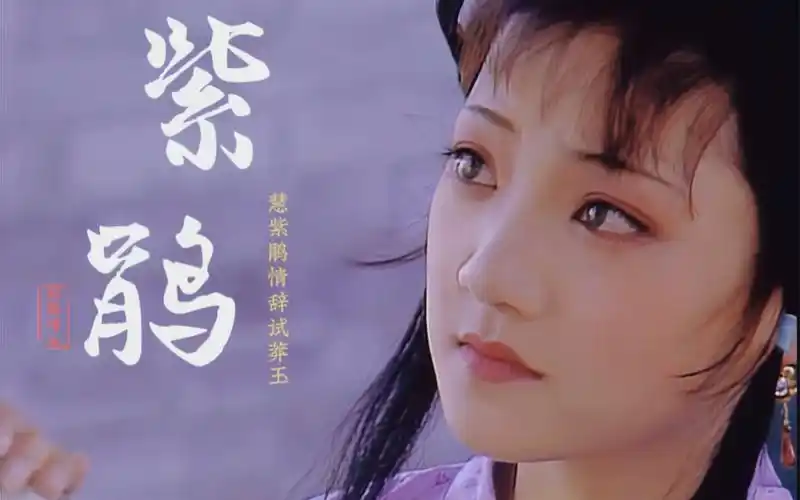 应向八方哭你,逼岁月回头.【红楼梦|紫鹃】