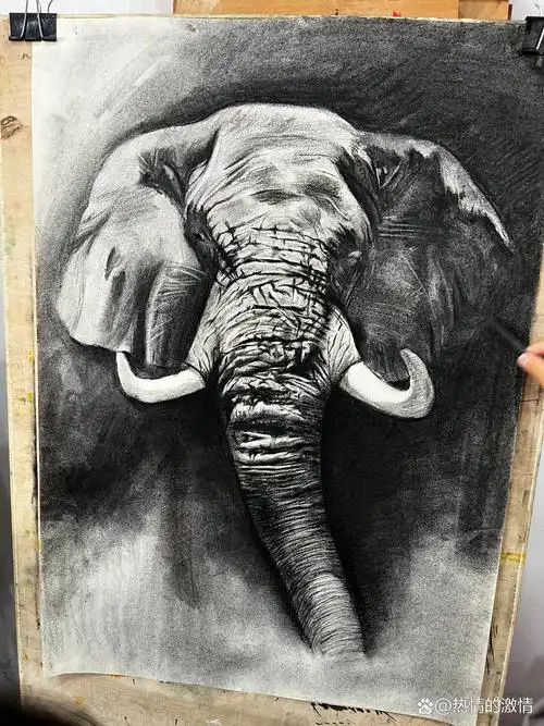 素描大象 记录一下孩子们绘画过程