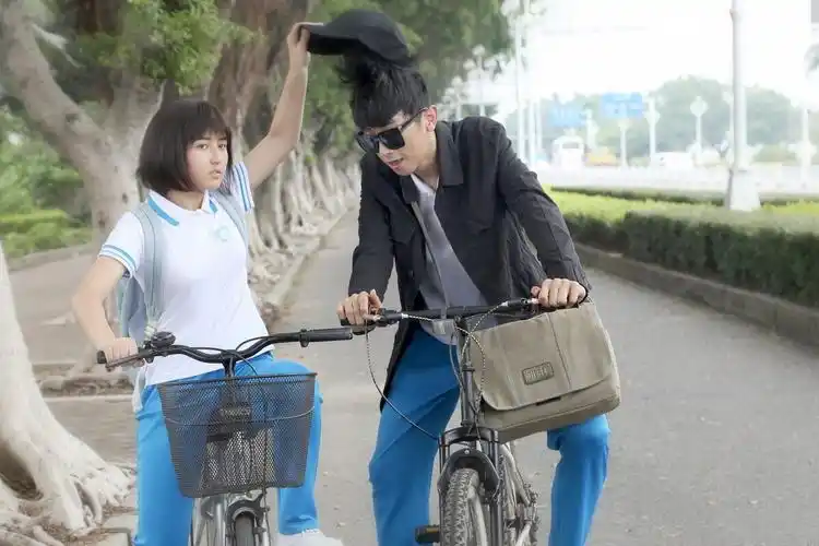 《李雷和韩梅梅》是杨永春执导,张子枫,张逸杰等领衔出演的青春喜剧片