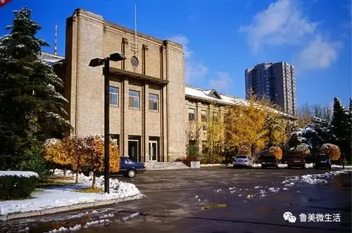 快来向鲁美投出你的一票吧!