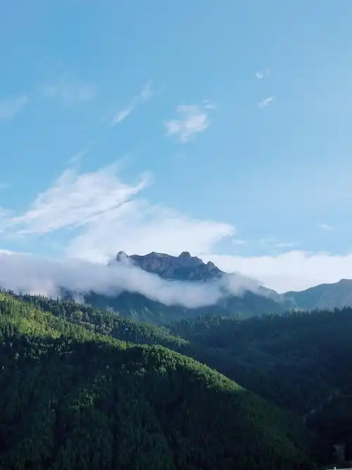 美丽人生,总有美景陪伴.