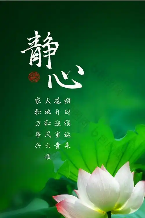 插画风禅语风格手机壁纸