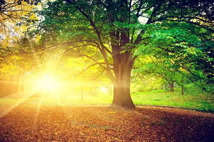 拆迁律师谈遇违法拆迁时被产权调换应怎样维权