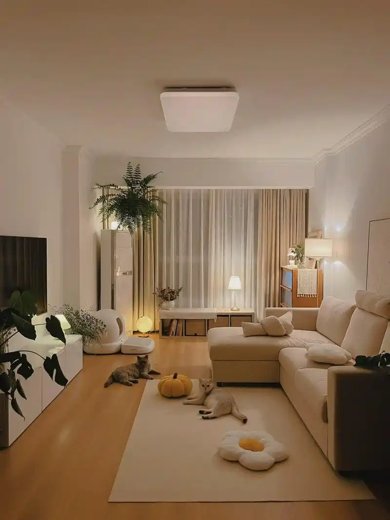 入夏夜晚的家,治愈又温情  初夏的夜晚,宛如一个熟睡的婴儿,安详而