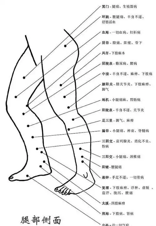 造成全身经络都处在不畅通的环境下,特别是久坐人群,腿部