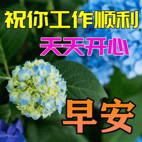 2022最新早上好表情包,祝你工作顺利,天天开心!_真情_缘分_朋友