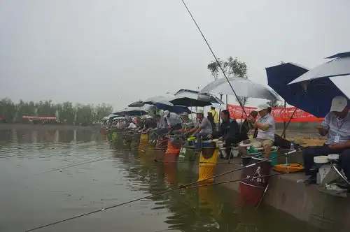 垂钓自成一趣,入其中方知不可自拔