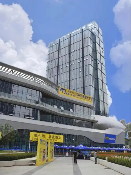 武汉首家麦德龙会员店周日正式开业