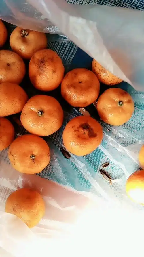 卖橘子的太坑人了,给我捡的都是坏的