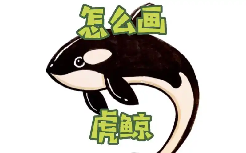 入门简笔画,儿童简笔画,虎鲸,鲸鱼