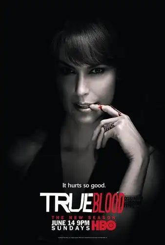 真爱如血 第二季 true blood season 2的海报