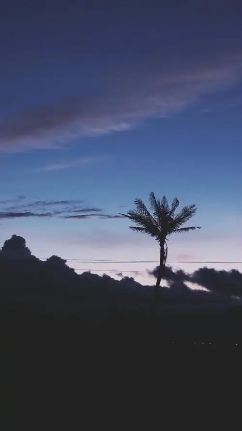 欧美壁纸 - 堆糖,美图壁纸兴趣社区