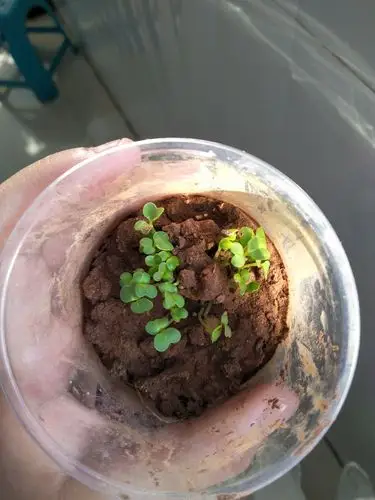 暑假生活 - 美篇