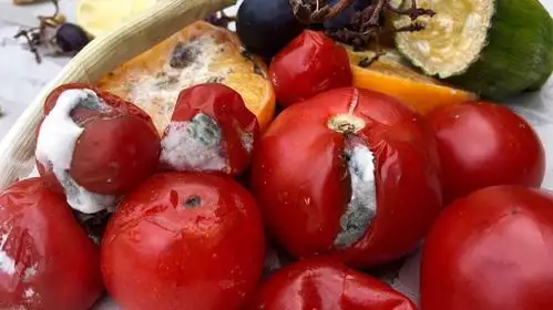 食堂现变质蔬菜,食物中吃出蟑螂……食品安全何时才能得到保障?