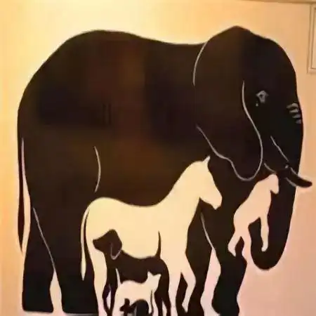 【博士后伴你学】考眼力,你能全看出来吗?