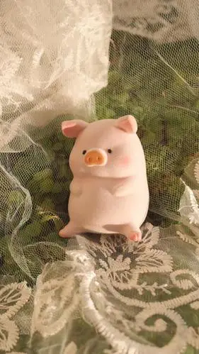可爱调皮的小猪静物背景图
