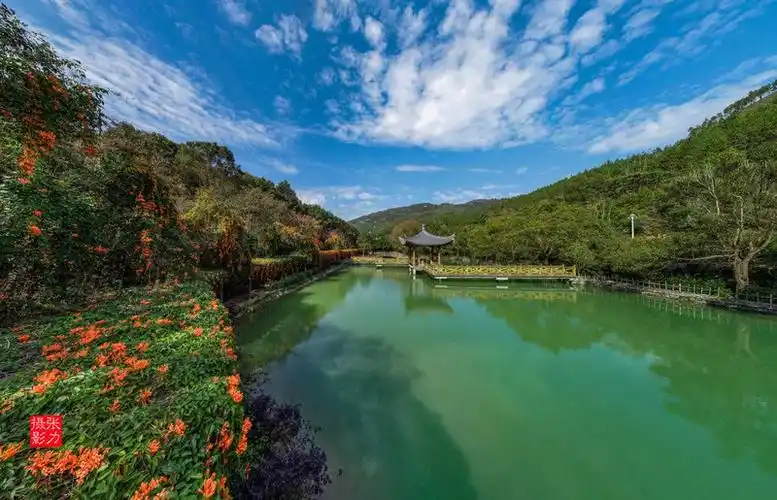 绿色王国的自然之旅兰石绿源名贵植物园记录