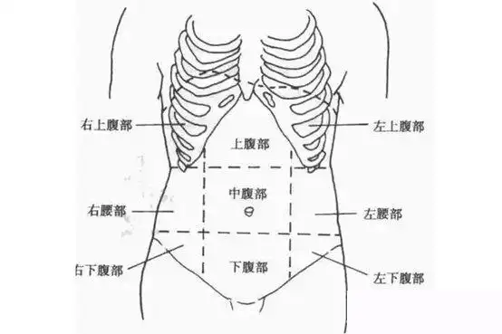 ct及mr扫描中上腹部,中腹部,下腹部的界限如何划分?