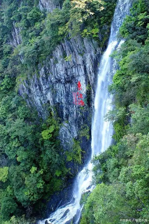 三百山:自然奇观与丰富生态的宝库