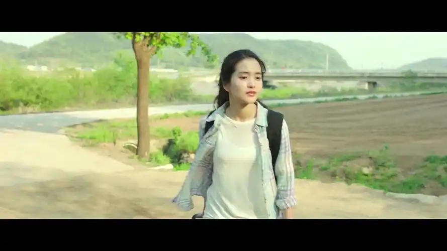 《小森林》——"金泰梨" 《freehand》-"novo amor,ed tullett "