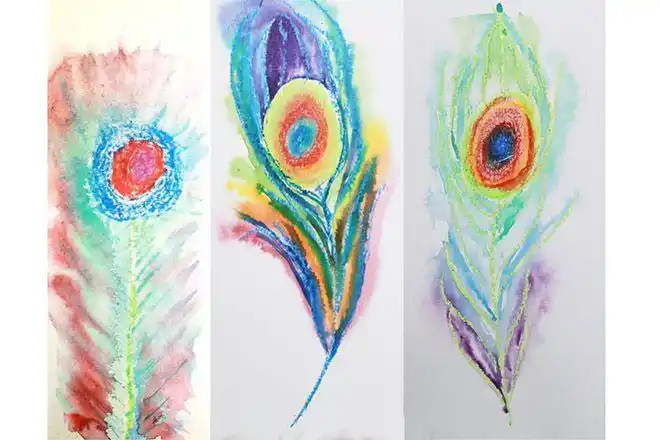 大班美术:水彩画孔雀羽毛(步骤图解)