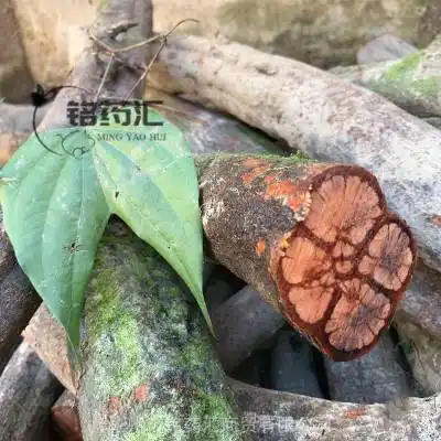 野生正宗天然过岗龙邬郎藤乌藤串鼻藤飞扬藤山道藤九龙根羊蹄风