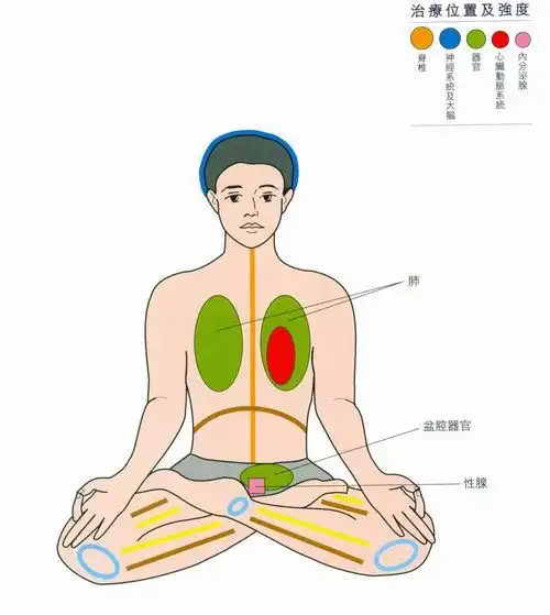 瑜伽双盘的妙处