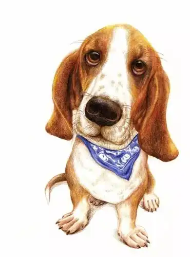 手绘基础入门之彩铅画工具篇