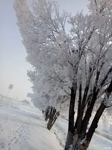 天寒地冻各位老铁注意保暖冷啊