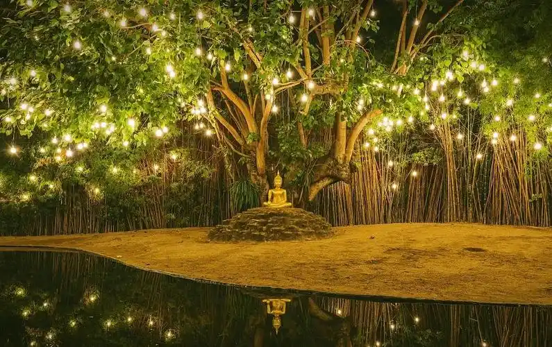 芒市大坝菩提树下与美好相逢