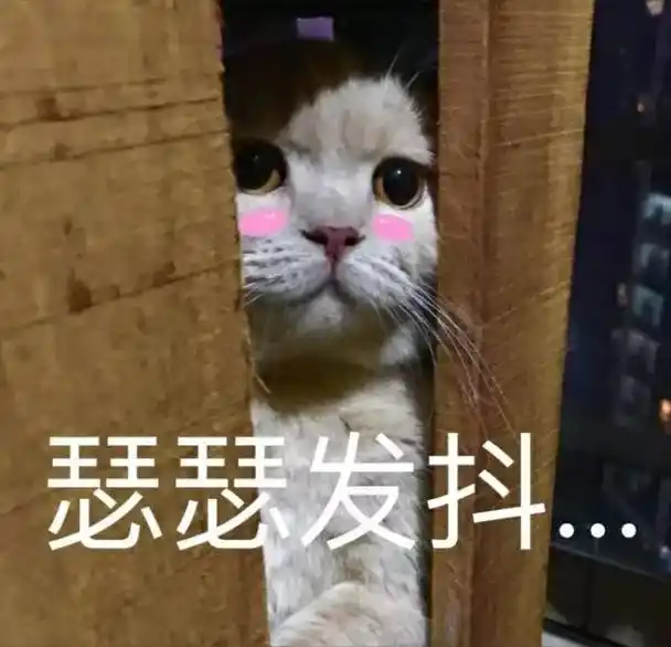 萌宠猫咪猫瑟瑟发抖gif动图_动态图_表情包下载_soogif