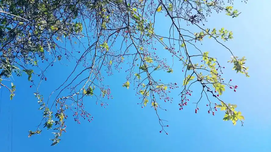 秋天好天气好心情的句子