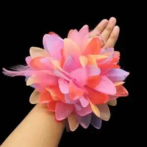 【舞蹈手花指花图片】舞蹈手花指花图片大全_好便宜网