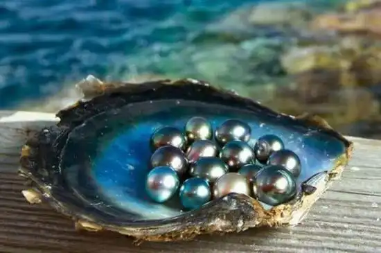 法属波利尼西亚群岛里珊瑚环礁的,它又称塔希提黑珍珠或大溪地黑珍珠