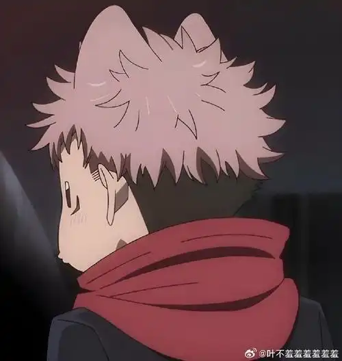 咒术回战#虎杖悠仁 好可爱的小猫猫