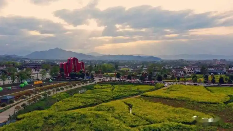 2024汉中油菜花海精品线路已出炉,快看有哪些?_种植_环线_全长