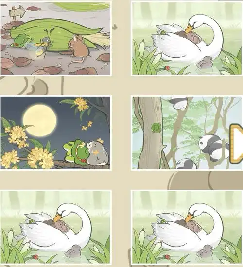 白天鹅估计是爱上我家小青蛙了,不断的重复