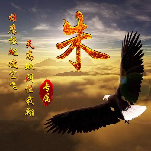 大鹏展翅,雄鹰  1557          朱       专业原创制作各类微信头像